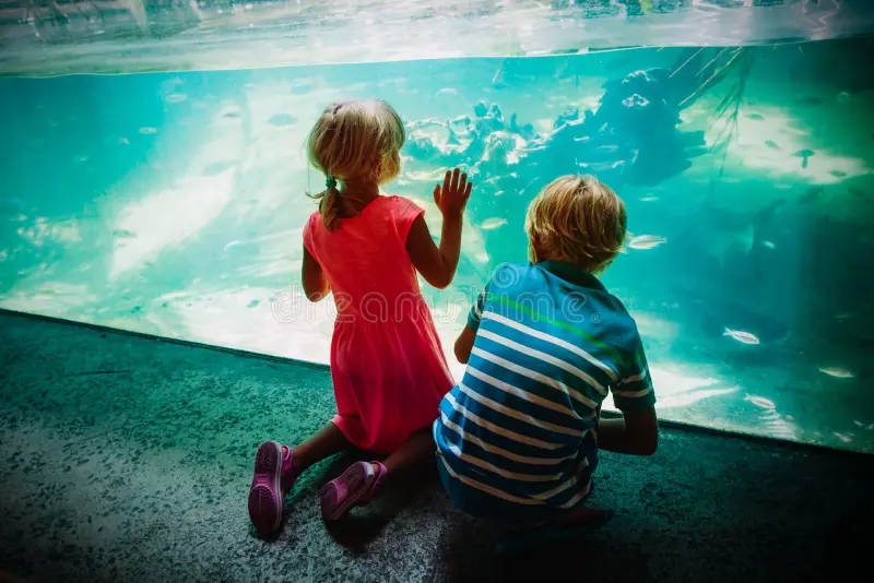 niños-y-niñas-observando-peces-en-el-acuario-viendo-aprenden-vida-acuática-161969785