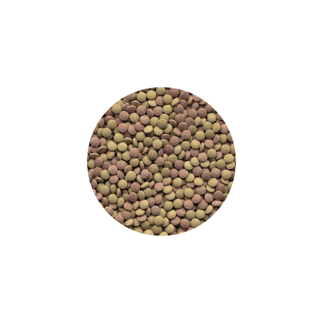 TETRA TABLETS TABIMIN - Image 2