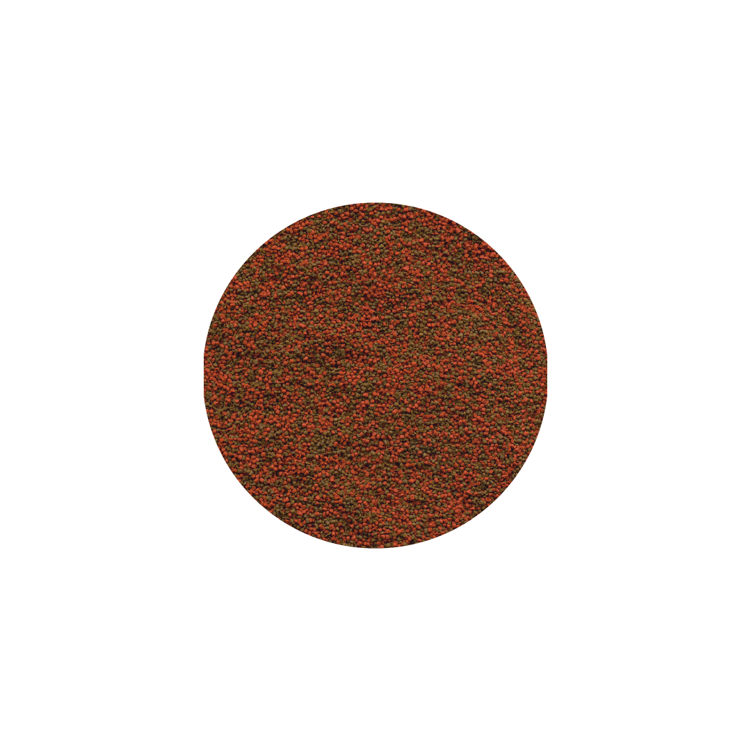 TETRA MARINE GRANULES XL, 250 ML - 110 GR - Image 2