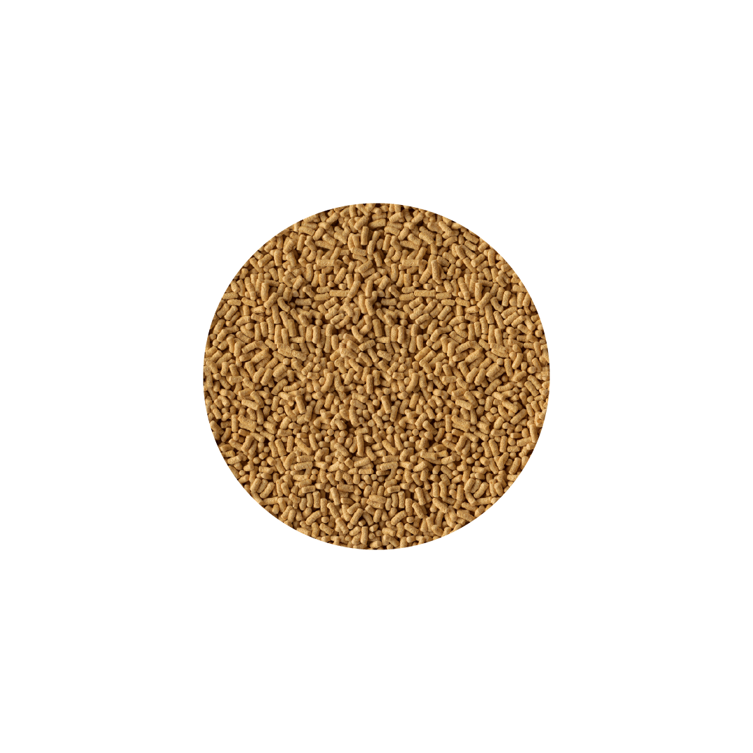 TETRA POND STICK, 1 L - 100 GR - Image 2