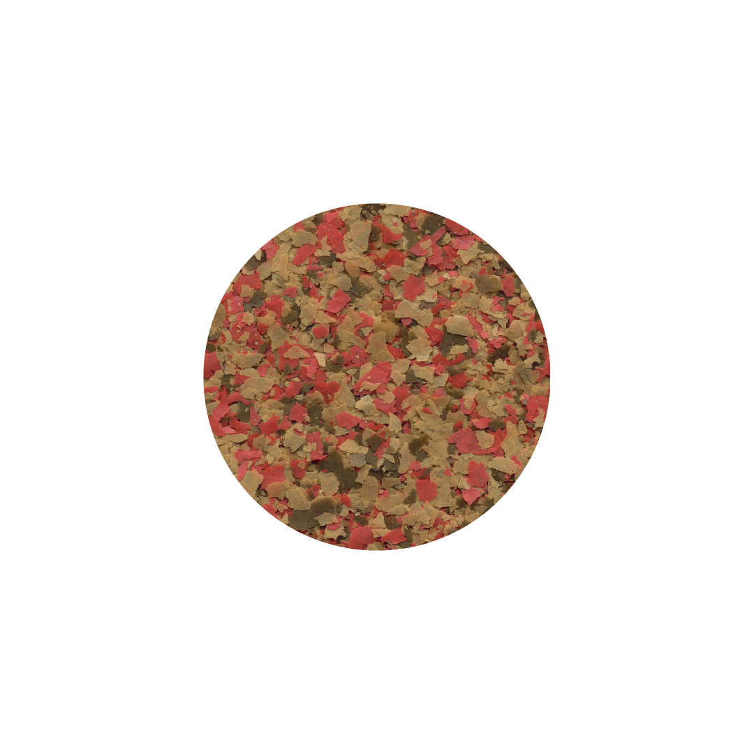 TETRA GOLDFISH FLAKES, 10 L - 2050 GR - Image 2